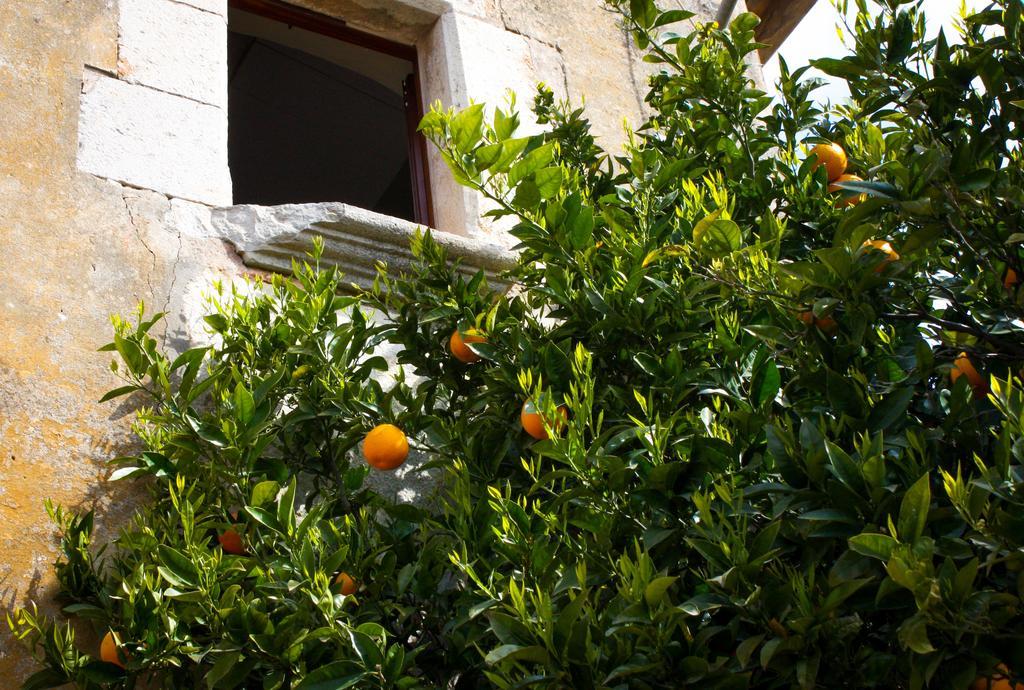 Apartamentos En La Rectoria De Regencós Extérieur photo